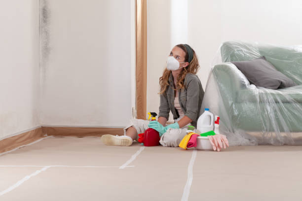 Reliable Crawl Space Mold Removal contractor in Westwood, NJ by WQB Mold Removal
