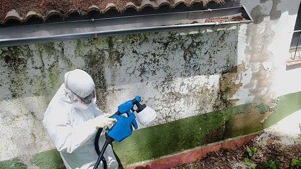 Top rated local Crawl Space Mold Removal specialists in Westwood, NJ